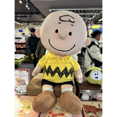 PEANUTS史努比人物經典絨毛娃娃(VIP下標限定請勿自行下單)