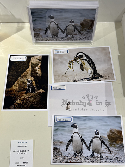 企鵝市集期間限定展4入明信片組