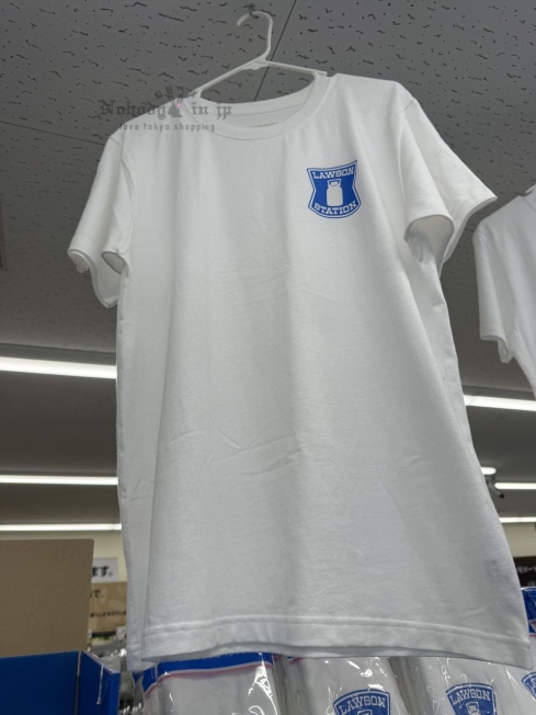 2025-09-01_16-33-37_IMG_4495_結果.jpg