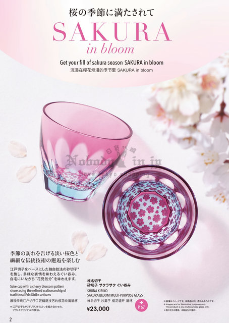 2026-02-22 14 31 30 (2)_OK.jpg